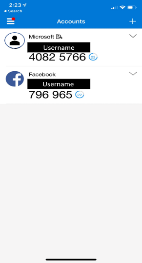 An authenticator application displaying one-time codes